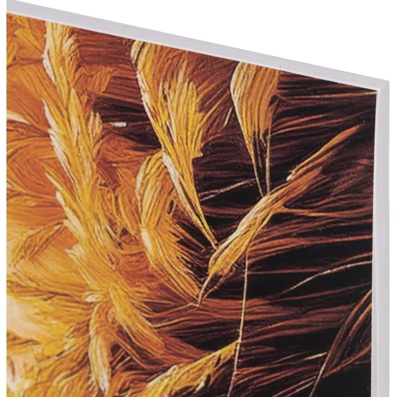 Альбом для рисования Комус Класс Nature,А4,40л,спираль,в асс,2шт/уп