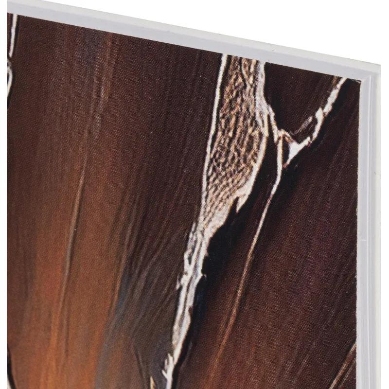 Альбом для рисования Комус Класс Nature,А4,40л,спираль,в асс,2шт/уп