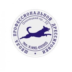 Оснастка для печати кругл. карман. Stamp Mouse R40 черная Colop