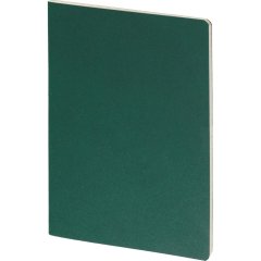 Бизнес-тетрадь BV А5 40л клетка PRAGMATIC ЗЕЛЕНЫЙ 7-40-1266/02