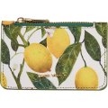 Картхолдер на молнии  flora.paradise.lemons, 11.5 x 0,7 x 7,5 см 14-096/06