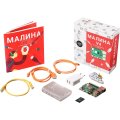 Набор образовательный Амперка Малина v4 (4 ГБ)