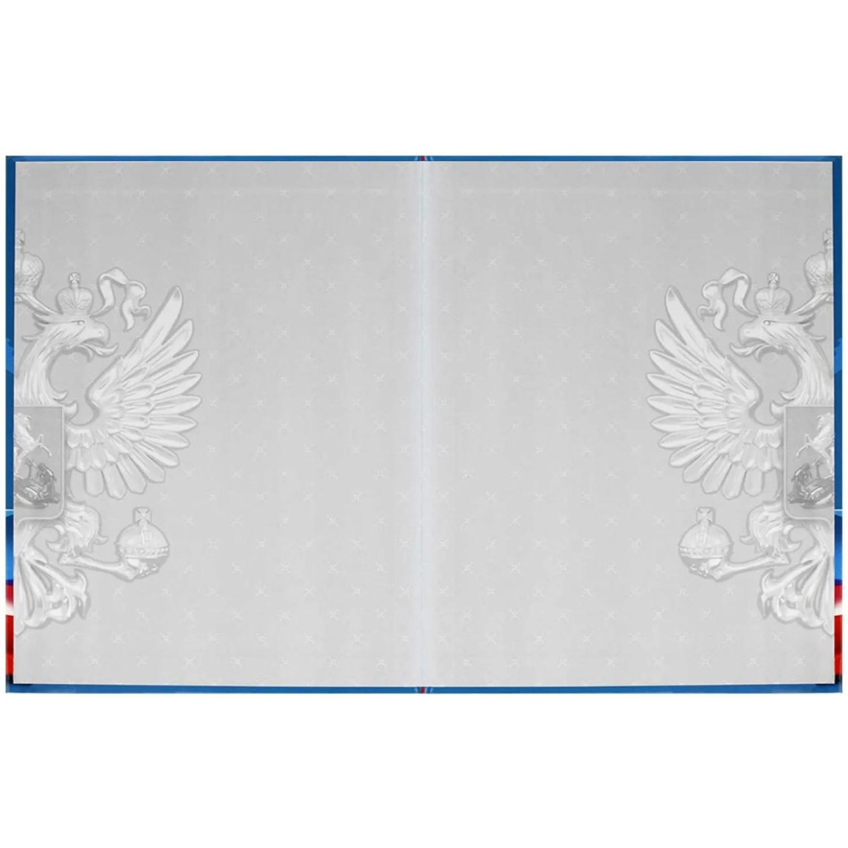 Дневник школьника СИМВОЛИКА ФЛАГ 7БЦ,А5+,48л,глянц. 69753