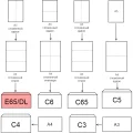 Конверт POSTFIX Е65 стрип 110х220 80г/м2, 1000шт/уп