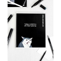 Тетрадь предметнaя АНГЛИЙСКИЙ ЯЗЫК'КОТЫ МЕМЫ'48л,А5+,кл,справ.инф/69828