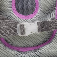 Ранец Комус Класс Basic Casual сирен+фиолет, 2 отд., эргоном. спинка