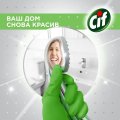 Средство для стекол и зеркал чистящее Сиф ЛЕГКОСТЬ ЧИСТОТЫ 500 мл
