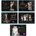Альбом для рисования 32л А4 скрепка МУРчат Коты 074717