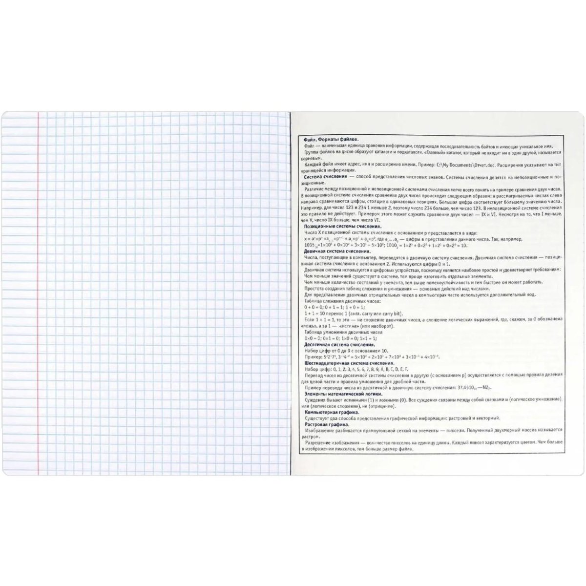 Тетрадь предметнaя ИНФОРМАТИКА 'КОТЫ МЕМЫ' 48 л, А5+,клетка,справ.инф/69827
