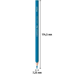 Карандаши цветные Maped COLOR'PEPS трехгранные,пластик,12цв/наб,862702