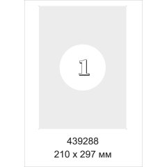 Этикетки самоклеящиеся  Серебристые, 210x297мм,А4, 20л.уп