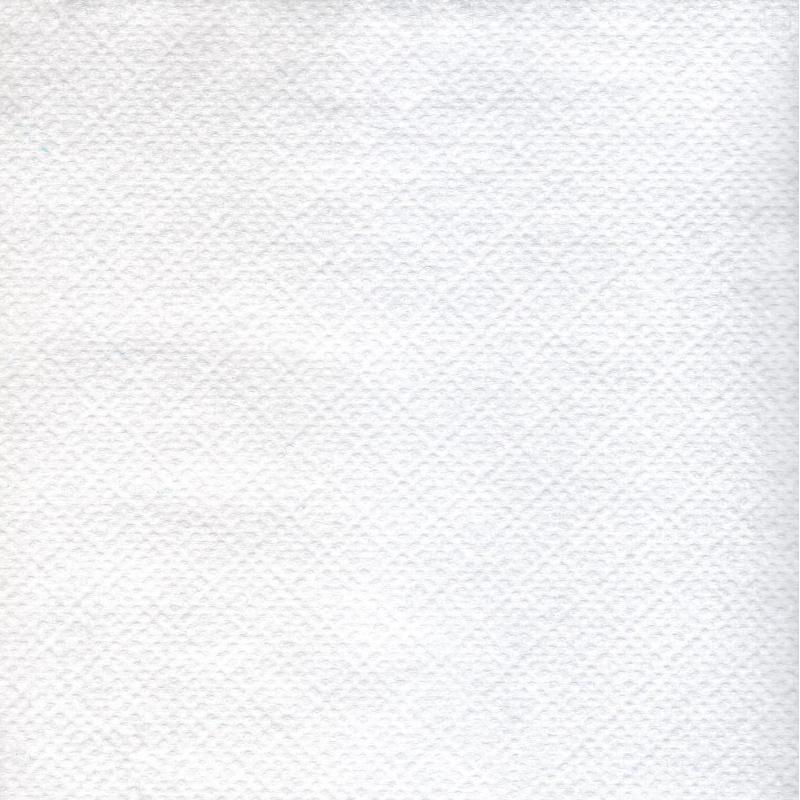 Салфетки бумажные Лилия белые 24х24 1сл 250шт/уп