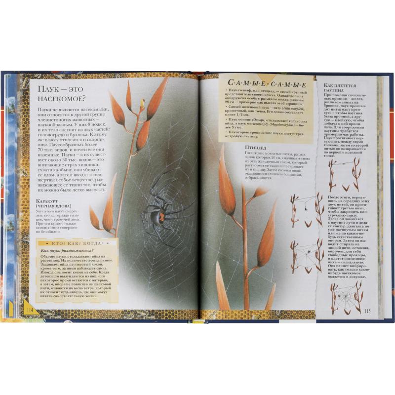 Энциклопедия школьника .Книга вопросов и ответов, 63934