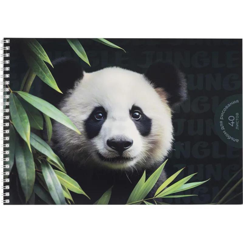 Альбом для рисования Комус Класс Дикие животные,А4,40л,спираль,в асс,2шт/уп