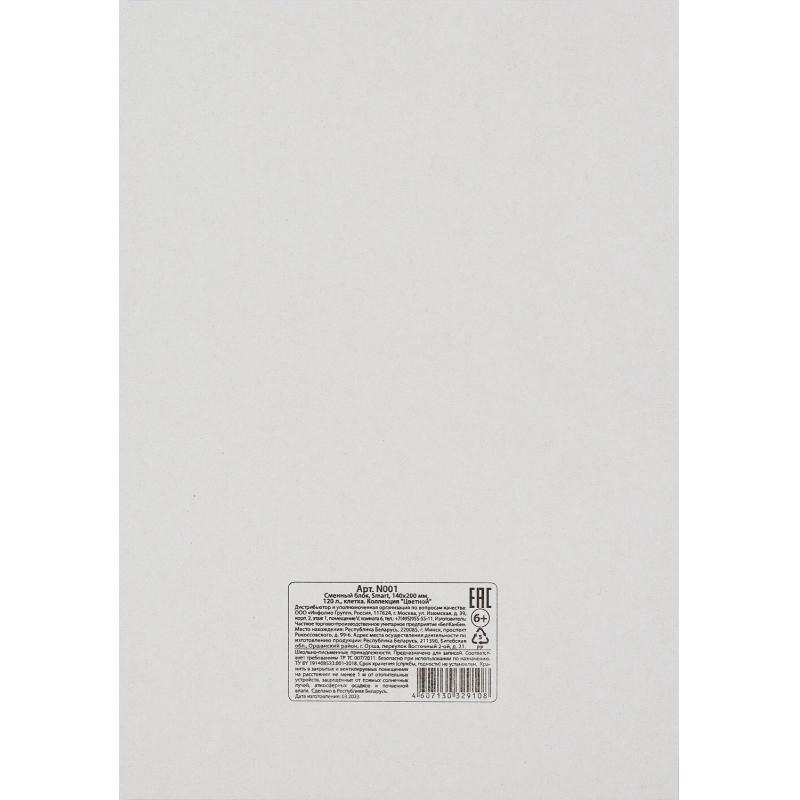 Сменный блок для тетрадей на кольцах, BeSmart А5 120л клетка Цветной N001d