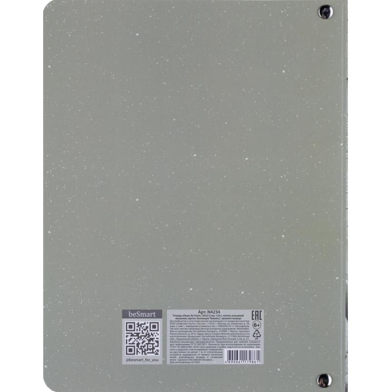 Тетрадь общая, BS, А5, 120л., клетка, кольца. Botanica, эвкалипт N4234