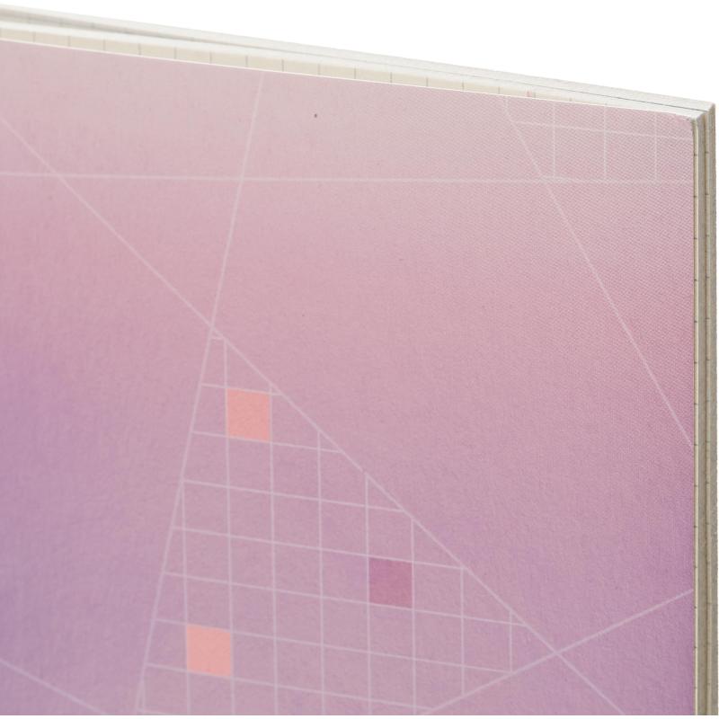 Тетрадь общая А5,48л,кл,скоб,офсет-2 Ice фиолет/красная