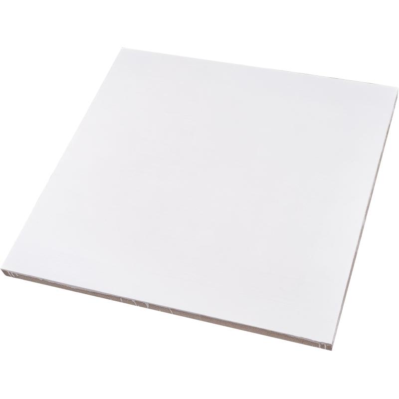 Холст Туюкан Этюдный, 100х100 см, 256г/м2, мелкое зерно, Т0016101