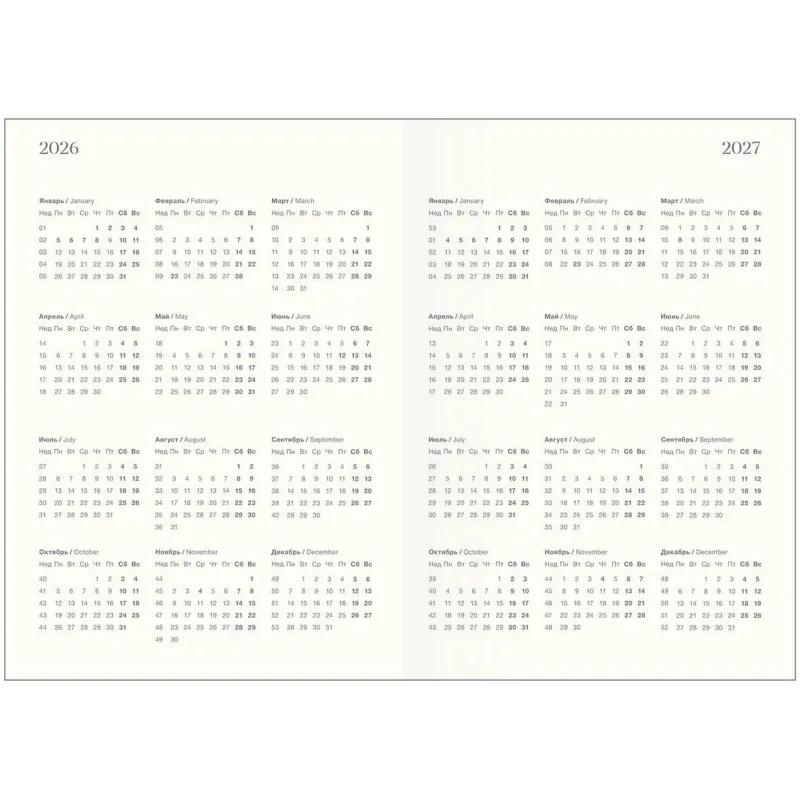 Ежедневник датированный 2026 IF 14х20см 176л, мягкий, Nightfall I1736/train