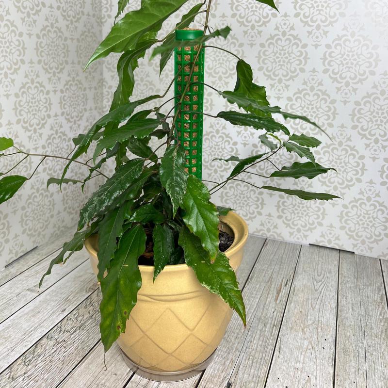 Опора наборная д/раст h38см, d3,5 мм,2шт/уп, лента-липучка L1м,зелен,266545