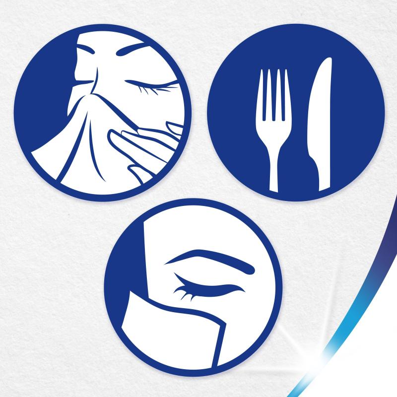 Салфетки косметические ZEWA Everyday 2-сл 250шт/уп 8679