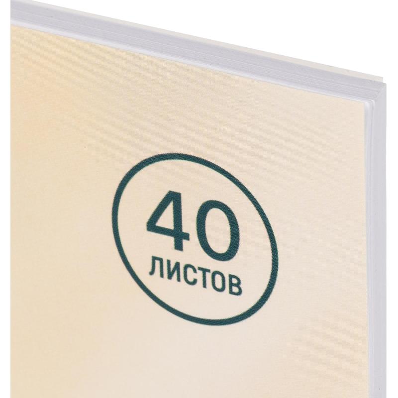 Альбом для рисования Комус Класс Сафари,А4,40л,спираль,в асс,2шт/уп