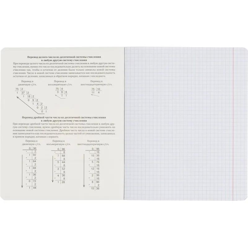 Тетрадь предметная набор Комус Класс  Котики 12 шт., 48., А5