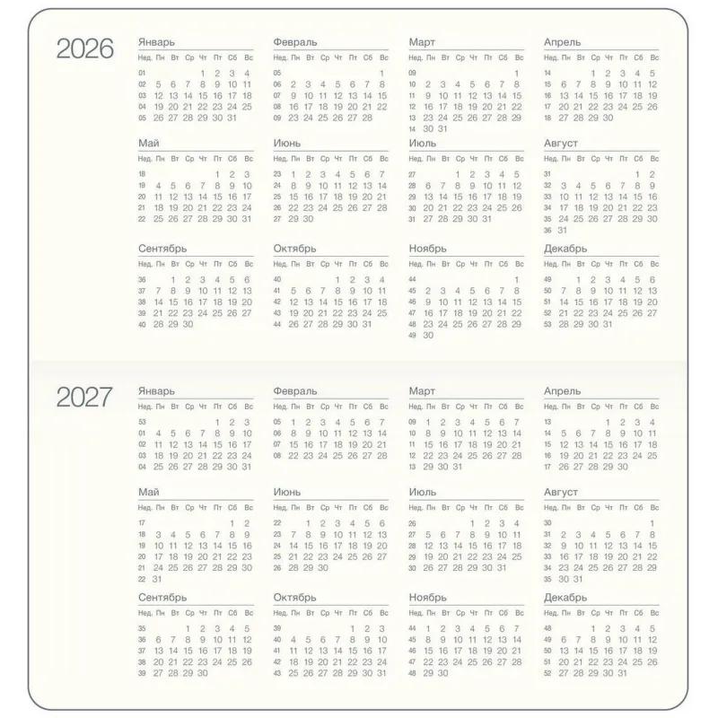 Еженедельник датированный 2026 IF 16х9см 64л, мягкий, Universe I1840/mint