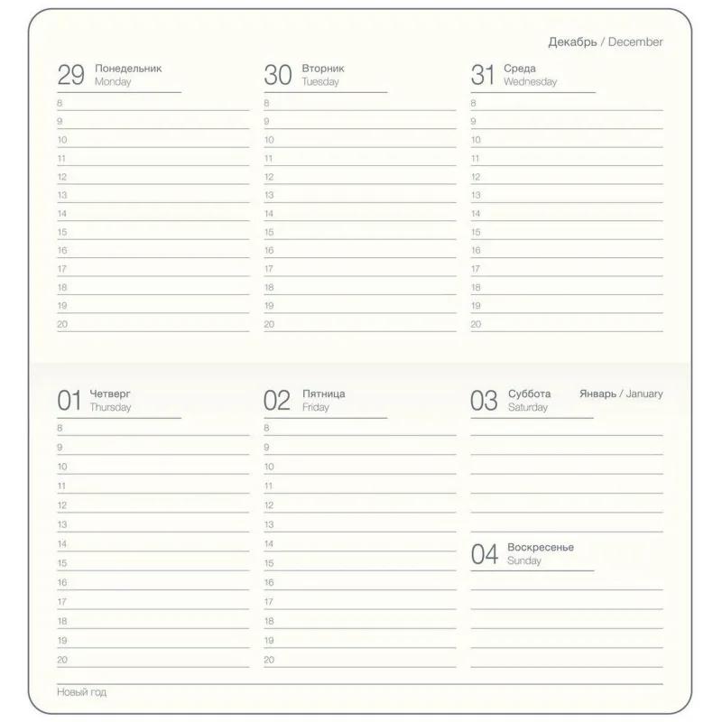 Еженедельник датированный 2026 IF 16х9см 64л, мягкий, Universe I1840/mint