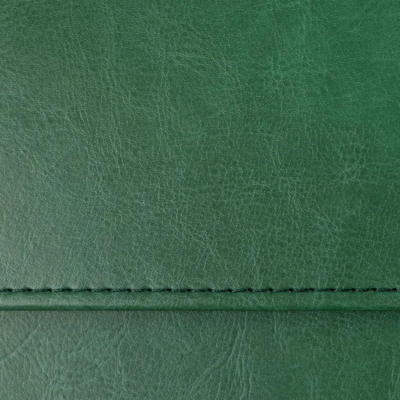 Планинг датированный 2026, зеленый,  303х150 мм, 120стр, Agenda