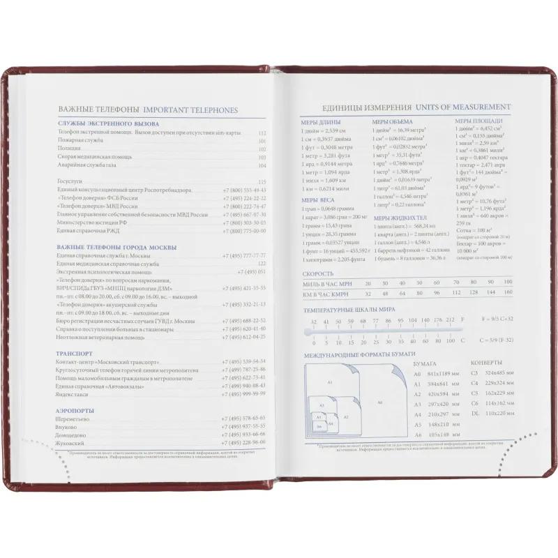 Ежедневник датированный 2026, бордо,А6, 100х150 мм,336 стр,Agenda