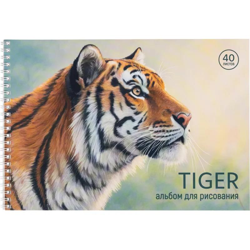 Альбом для рисования Комус Класс Сафари,А4,40л,спираль,в асс,2шт/уп