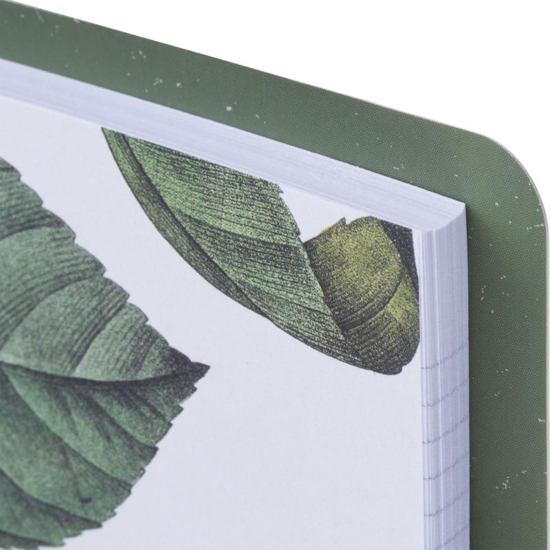 Тетрадь общая, BS, А5, 120л., клетка, кольца, Flora, камелия N4758