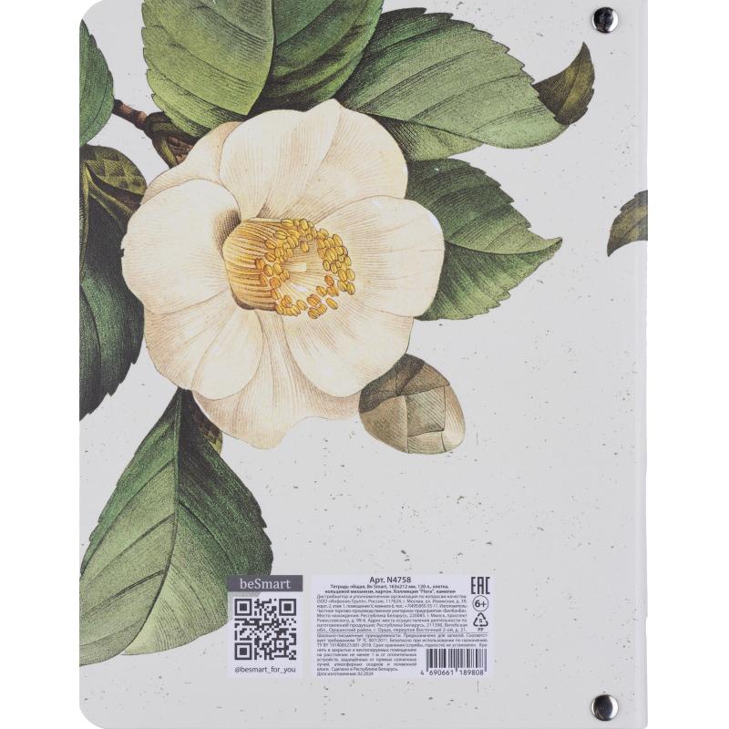 Тетрадь общая, BS, А5, 120л., клетка, кольца, Flora, камелия N4758