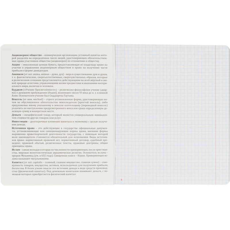 Тетрадь предметная Комус Класс Минимализм, 48 л., А5, кл., ОБЩЕСТВОЗНАНИЕ