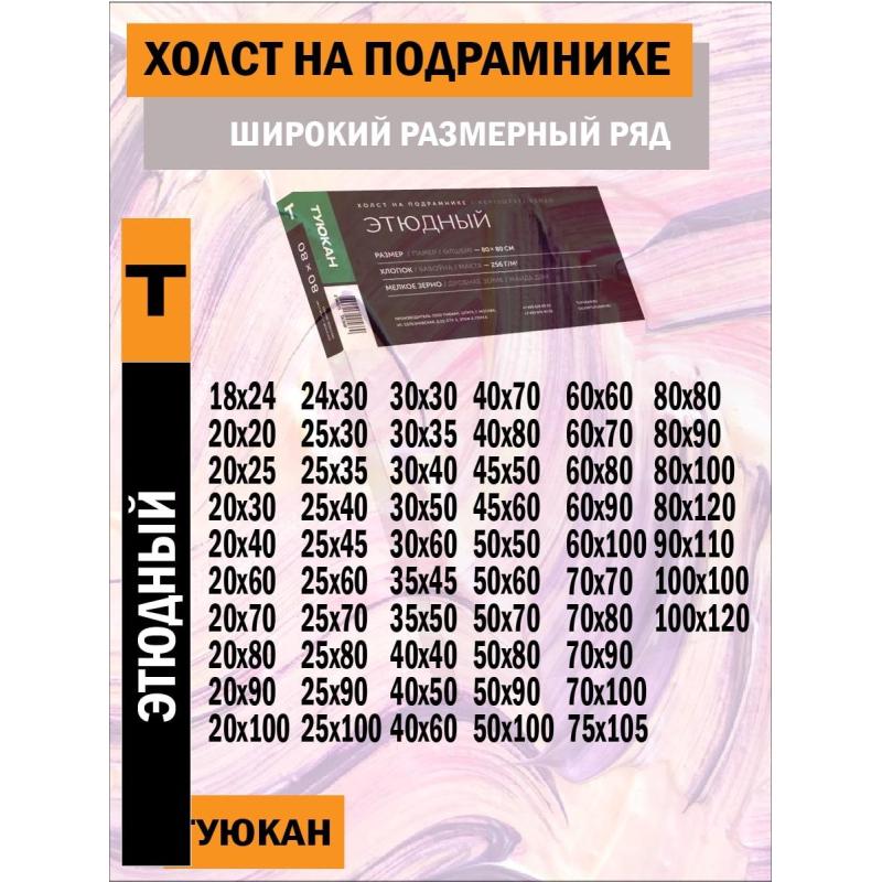 Холст Туюкан Этюдный, 100х100 см, 256г/м2, мелкое зерно, Т0016101