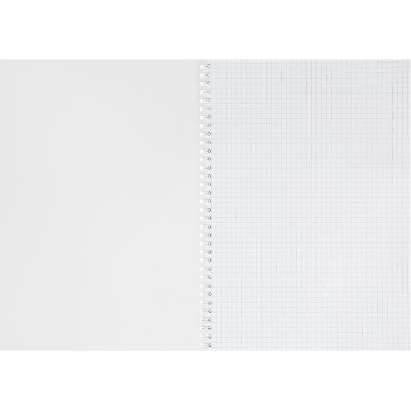 Бизнес-тетрадь А4 60л Attache Греция Голубой/Красныйклет, 65г, греб, ВД-лак