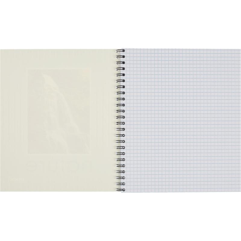 Тетрадь общая Attache,80л,клет,А5,спир,обл.мел.карт