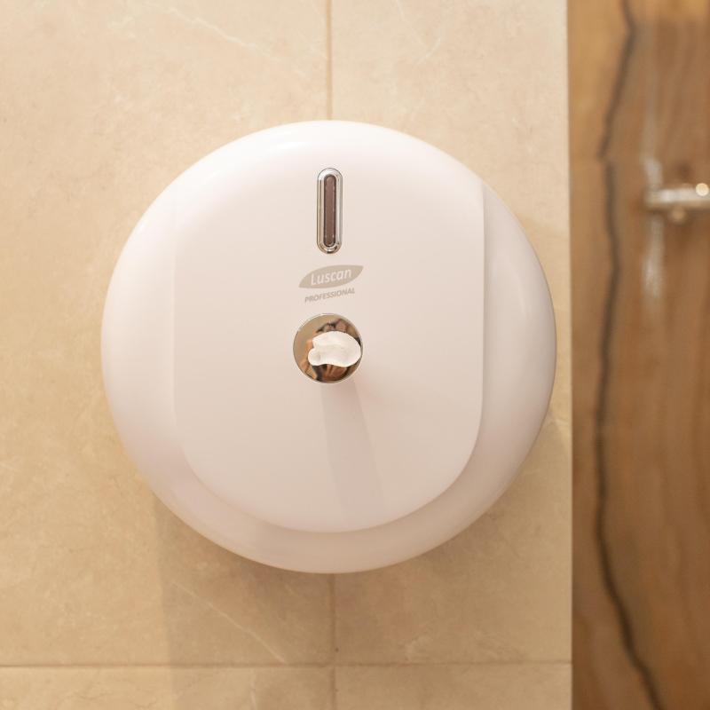 Диспенсер для туалетной бумаги рул Luscan Prof Etalon с ЦВ белый 151066