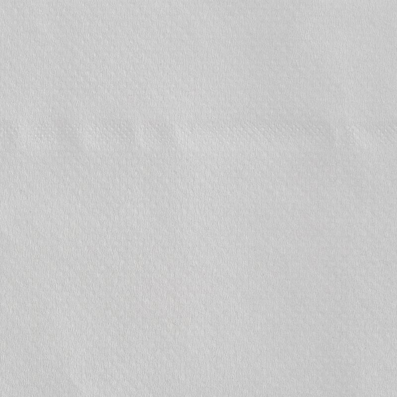 Бумага туалетная д/дисп Luscan Prof Etalon ЦВ 2сл бел цел 100м 12рул/уп