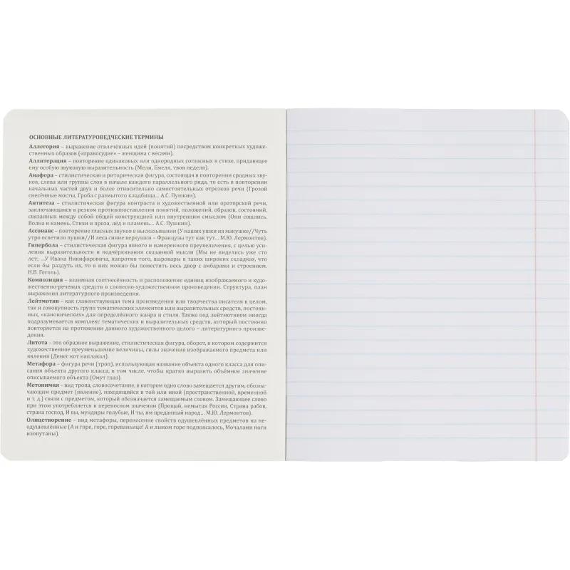 Тетрадь предметная набор Комус Класс  Искусство 12 шт., 48., А5