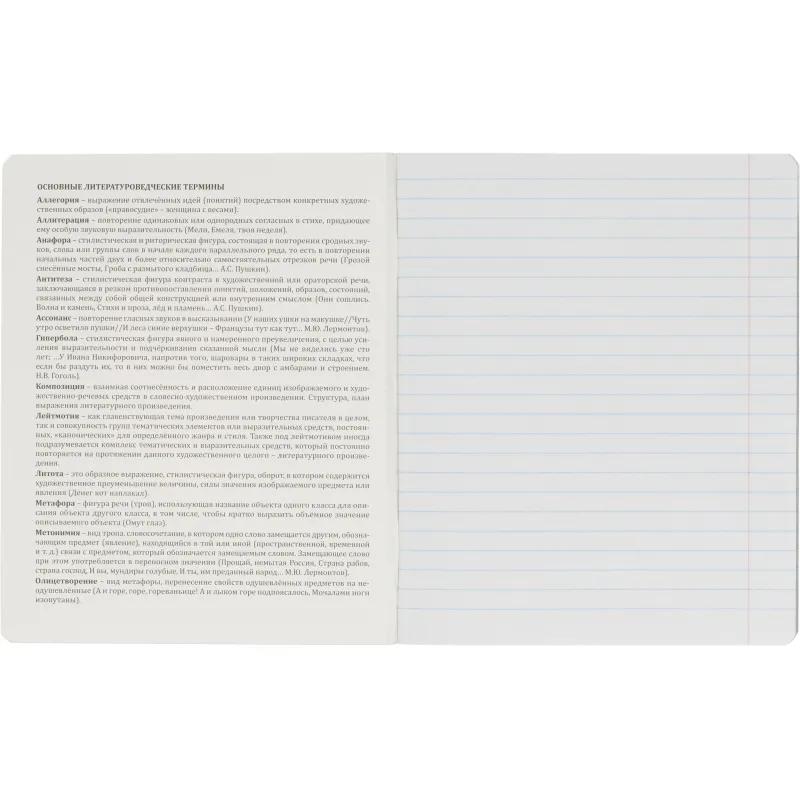 Тетрадь предметная набор Комус Класс  Минимализм 12 шт., 48., А5