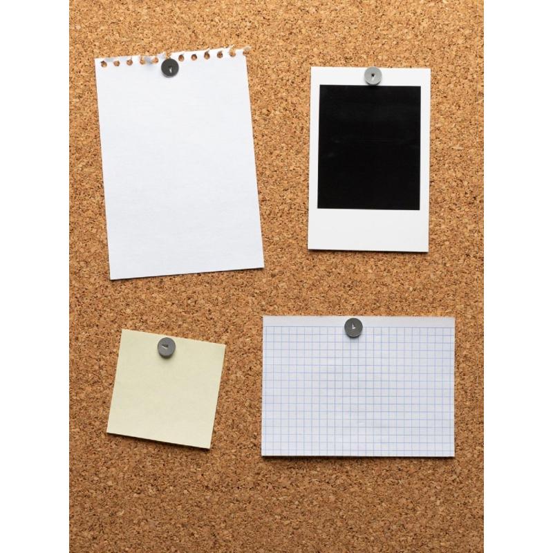 Кнопки канцелярск. Глобус стальные, 12мм, металлические 100 шт/уп, К12-100