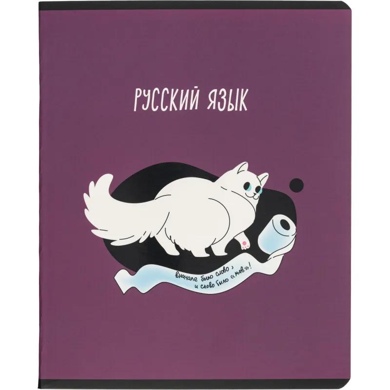 Тетрадь предметная набор Комус Класс  Котики 12 шт., 48., А5