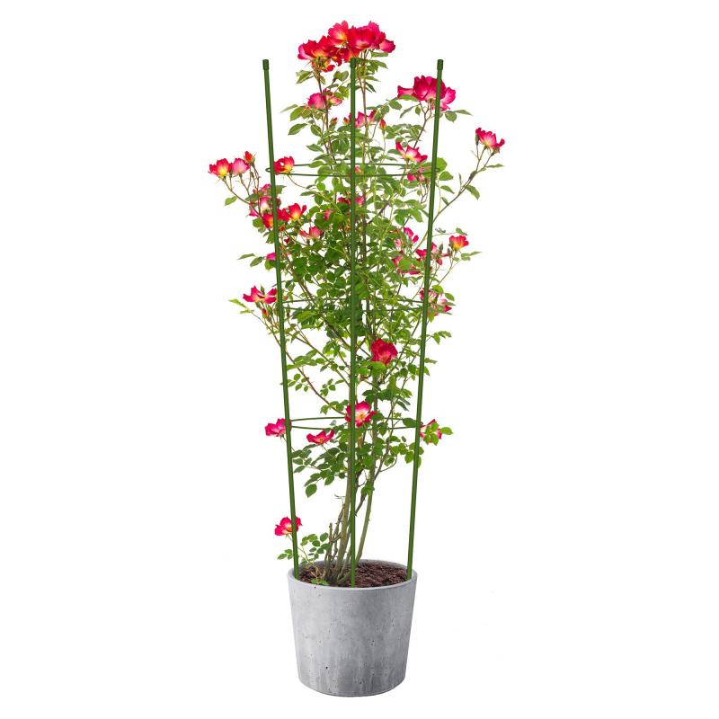 Опора для растений Круглая (3 кольца) металл h75см, 466338