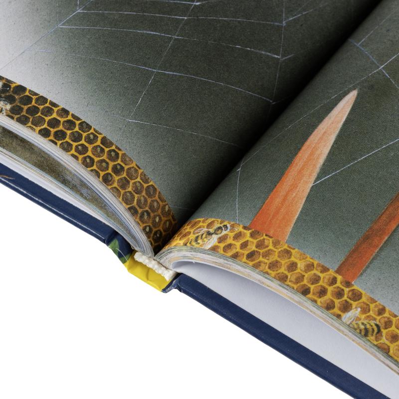 Энциклопедия школьника .Книга вопросов и ответов, 63934