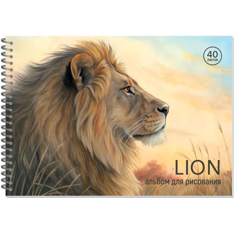 Альбом для рисования Комус Класс Сафари,А4,40л,спираль,в асс,2шт/уп