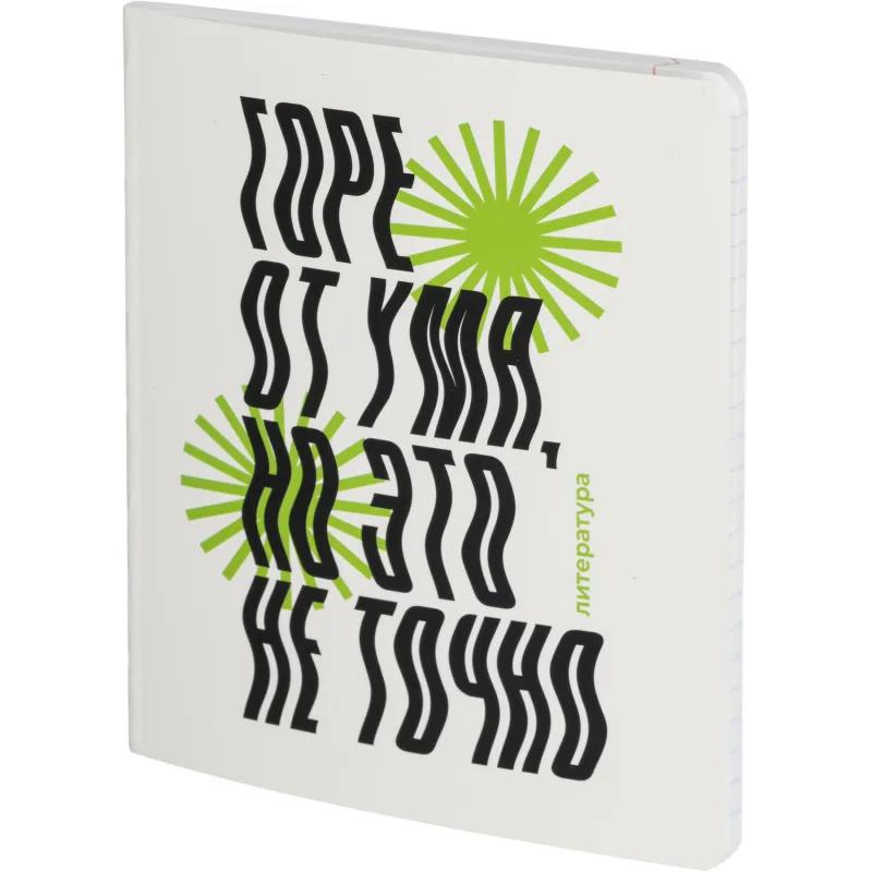 Тетрадь предметная набор Комус Класс   Кириллица 12 шт., 48., А5