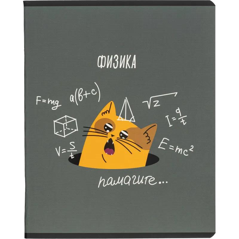 Тетрадь предметная набор Комус Класс  Котики 12 шт., 48., А5