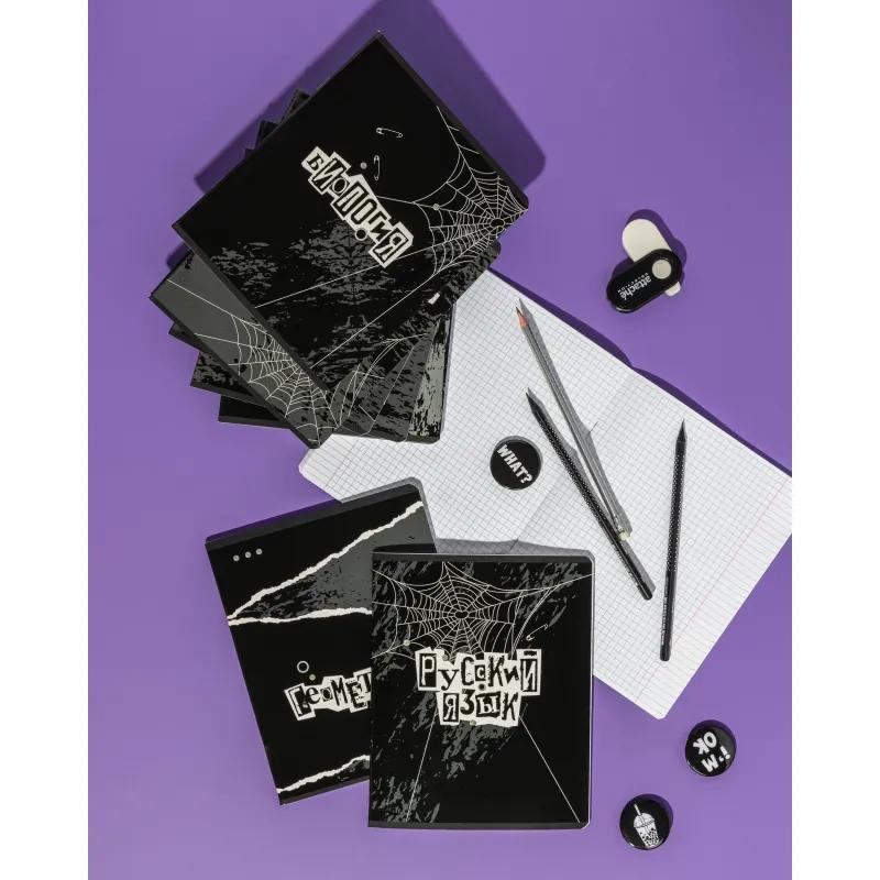 Тетрадь предметная набор №1 School/Комус Класс Панк 48л А5 10 предметов